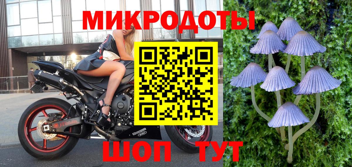 Псилоцибиновые грибы мицелий Нальчик